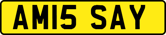 AM15SAY