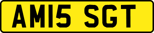 AM15SGT