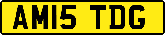 AM15TDG