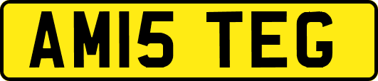 AM15TEG