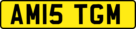 AM15TGM