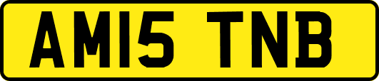 AM15TNB