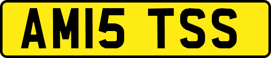 AM15TSS