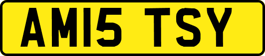 AM15TSY