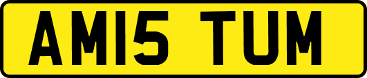 AM15TUM
