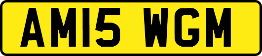 AM15WGM