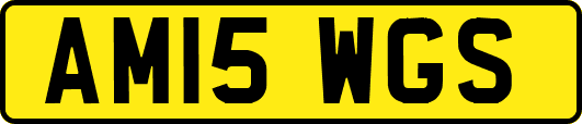 AM15WGS