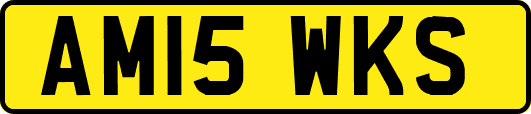 AM15WKS