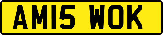 AM15WOK