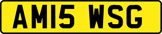 AM15WSG