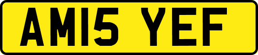 AM15YEF