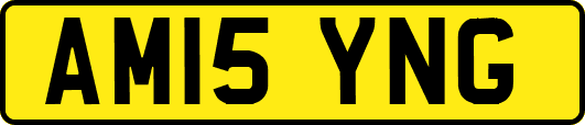 AM15YNG