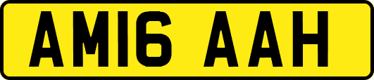 AM16AAH