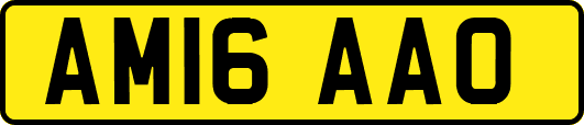 AM16AAO