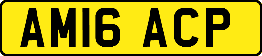 AM16ACP