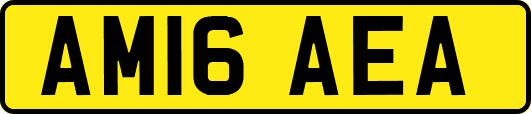 AM16AEA