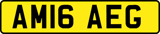 AM16AEG