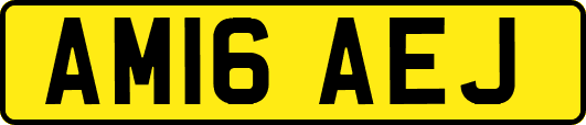 AM16AEJ