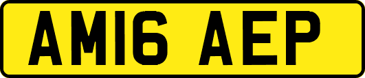 AM16AEP