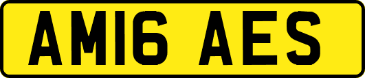 AM16AES