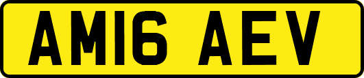 AM16AEV