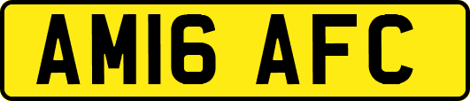 AM16AFC