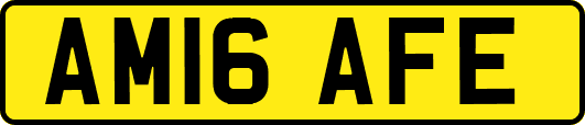 AM16AFE