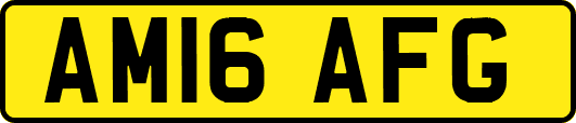 AM16AFG