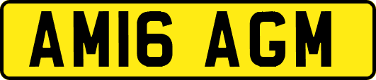 AM16AGM