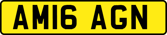 AM16AGN