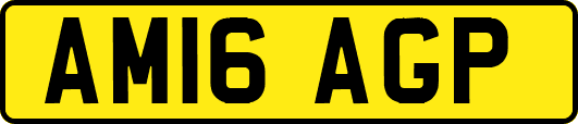 AM16AGP
