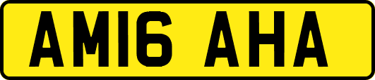 AM16AHA