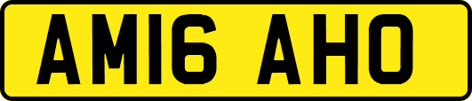 AM16AHO