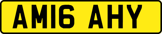 AM16AHY