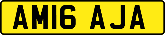 AM16AJA