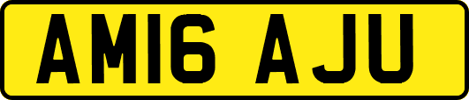 AM16AJU