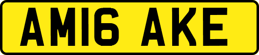 AM16AKE