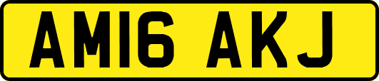 AM16AKJ