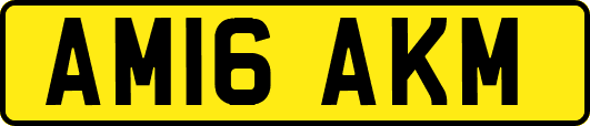 AM16AKM