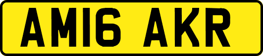 AM16AKR
