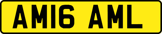 AM16AML
