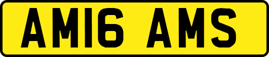 AM16AMS