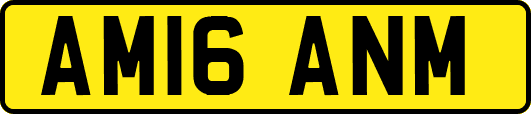AM16ANM