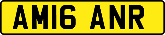 AM16ANR