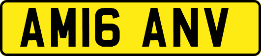 AM16ANV