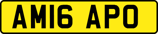 AM16APO