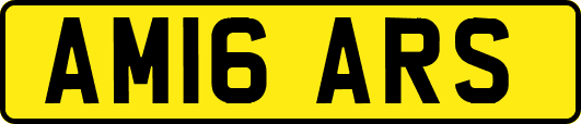AM16ARS