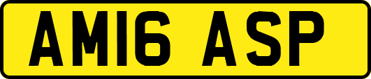 AM16ASP