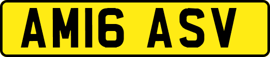 AM16ASV
