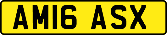 AM16ASX